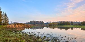Spiegelbildliche Herbstfarben in der Horsterwold