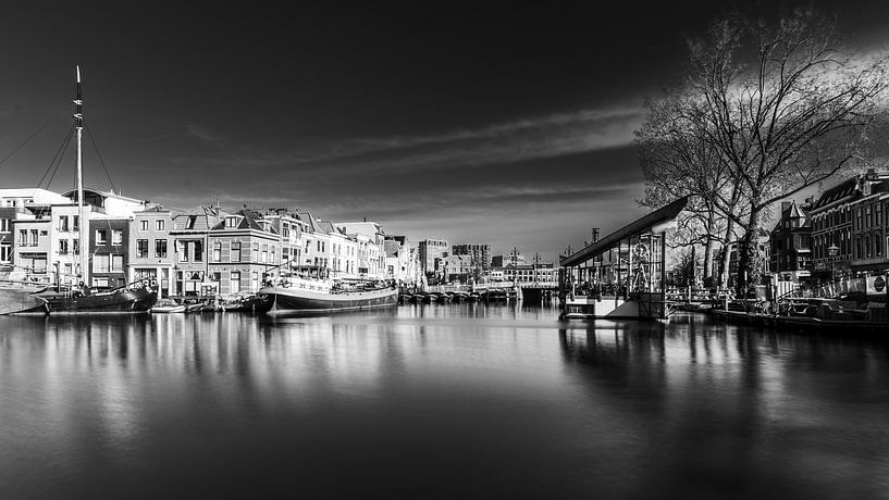 Leiden in Schwarz und Weiß von Patrick Herzberg