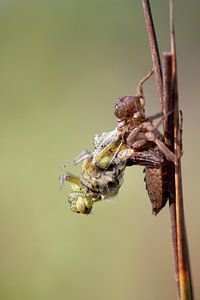 Bijna toe aan het omslagpunt