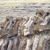 Ahu Tongariki Moai beelden op Paasleiland (Isla de Pascua), Chili, Oceanie van WorldWidePhotoWeb