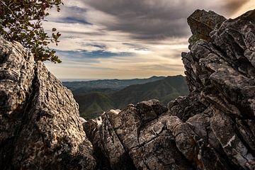 Tough rock in the mountain by Niels Bronkema