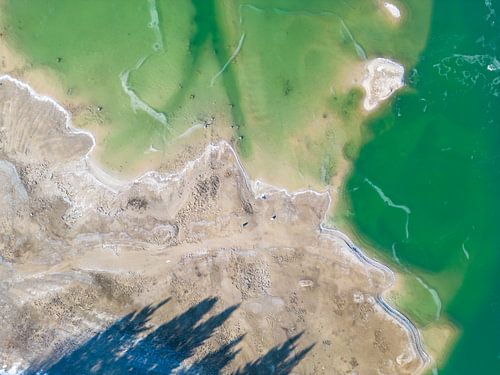 Meer met winterlandschap