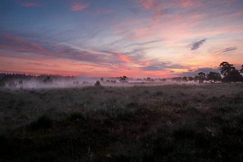 Zonsopkomst bij het Leersumse Veld in Nationaal Park Utrechtse Heuvelrug