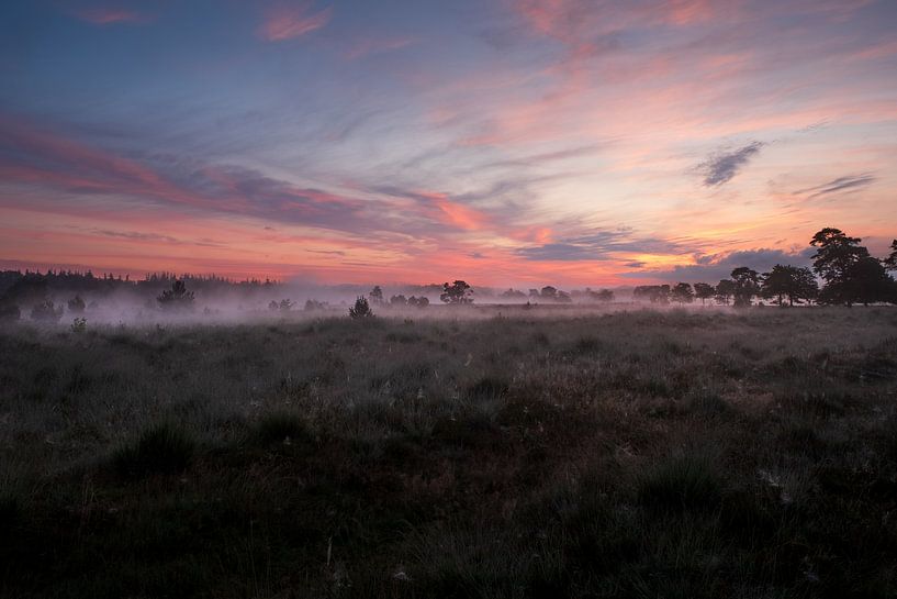 Sunrise at Leersumse Veld in Utrechtse Heuvelrug National Park by Moetwil en van Dijk - Fotografie