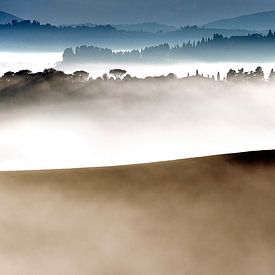 Lonely Tree van Johan Ensing