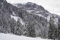 Winter in de bergen bij Pertisau