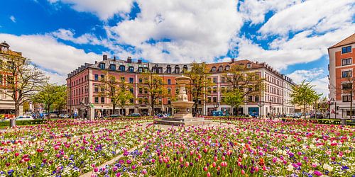 Tulipes sur la Gärtnerplatz dans le quartier de Glockenbach à Munich sur Werner Dieterich