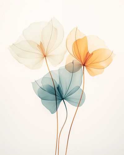 Floating Petals - Minimalist floral display