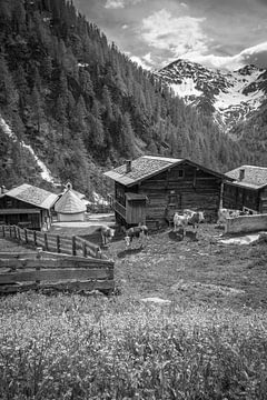 Hutten op de Oberstalleralm (1.870 m) in het achterste Villgratental van Christian Müringer