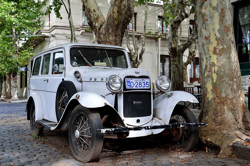 Een echte klassieker van Frank's Awesome Travels