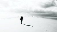 In het licht