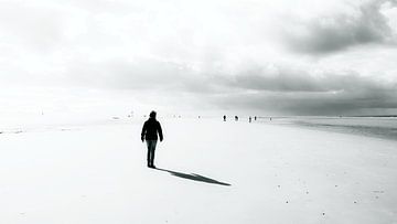 In het licht van Heiko Westphalen