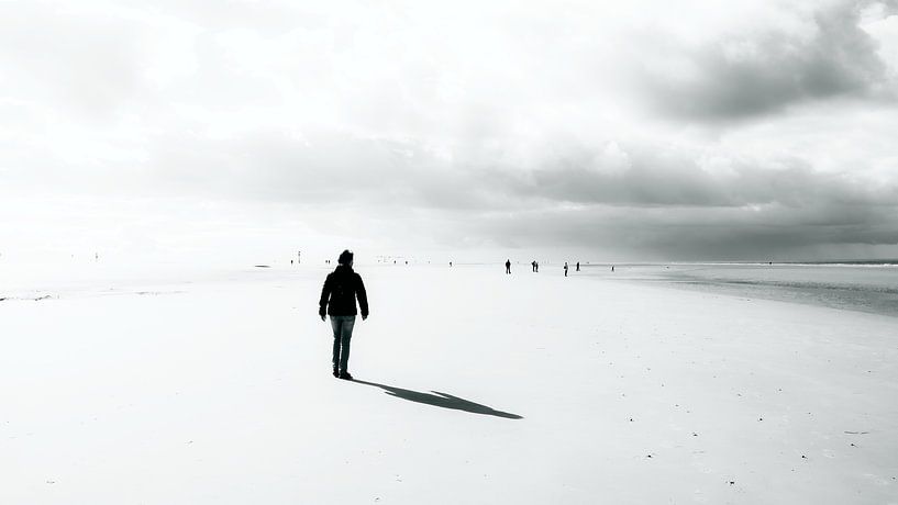 Ins Licht von Heiko Westphalen