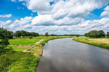 Groene omgeving aan het Dortmund Ems kanaal van Werner Lerooy