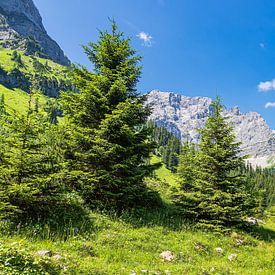 Landschap in het Rißtal bij de Eng Alm in Oostenrijk van Rico Ködder
