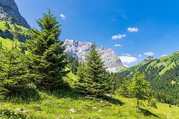 Landschap in het Rißtal bij de Eng Alm in Oostenrijk van Rico Ködder