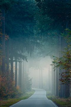 Spookachtige Bosweg van Koen Boelrijk Photography