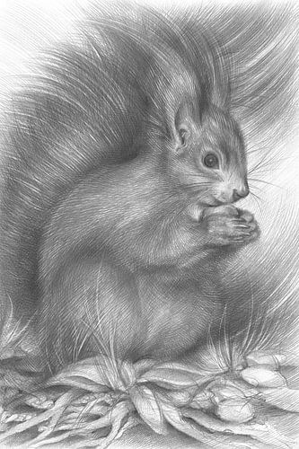 Squirrel sitting on the forest floor by Adriana Müller