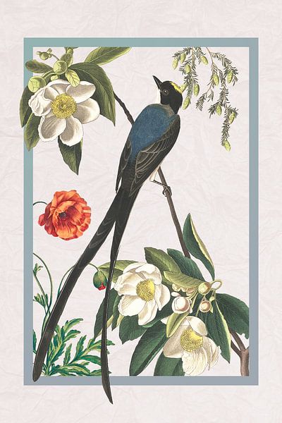 Flycatcher bird in frame on crumpled paper by Jadzia Klimkiewicz