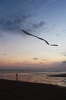 Kind met vlieger op het strand