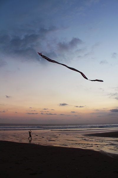 Kind met vlieger op het strand van Manon Leisink