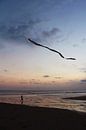 Kind met vlieger op het strand van Manon Leisink thumbnail