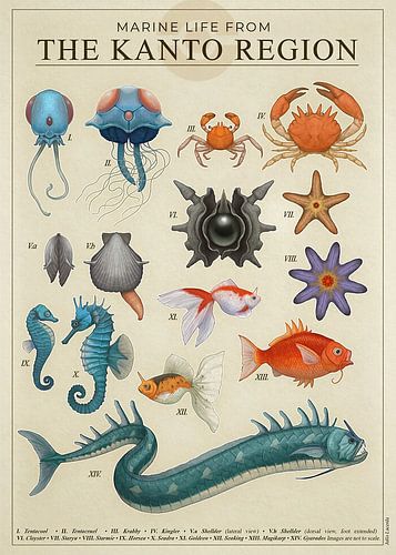 Marine Life from Kanto