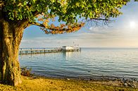 Kust en steiger in Hagnau aan het Bodenmeer met zon in het tegenlicht in Duitsland van Dieter Walther thumbnail