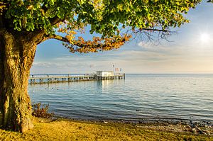 Ufer und Bootssteg Schiffsanlegestelle in Hagnau am Bodensee mit Sonne im Gegenlicht in Deutschland