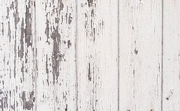 Vintage wit geschilderd hout voor achtergrond textuur van Alex Winter