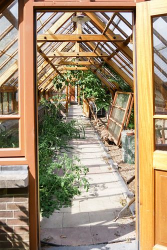 Utrecht - View through door Old Hortus Botanicus