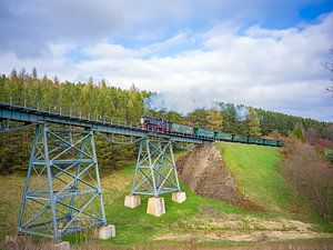 Die Fichtelbergbahn auf dem Hüttenbachviadukt
