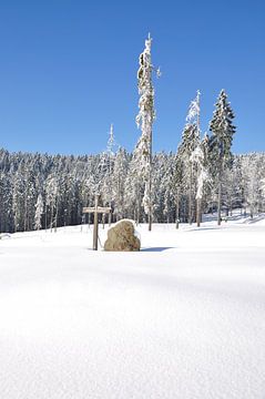 Winterlandschap op de Bretterschachten