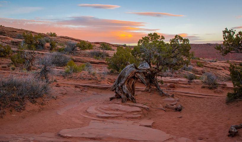 Avondlicht in Arches Nationaal Park, Utah van Rietje Bulthuis