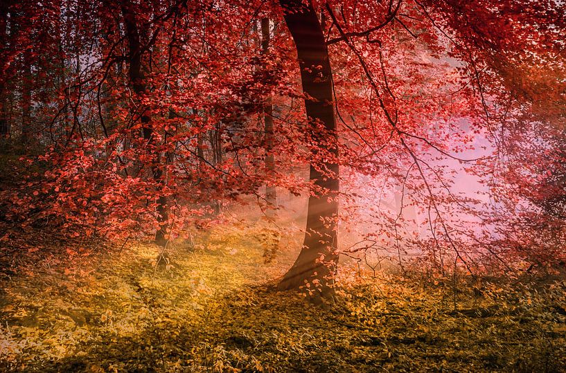 october morning von Vera Kämpfe