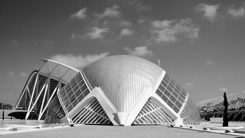 L'Hemisfèric, Valence par Arno Litjens