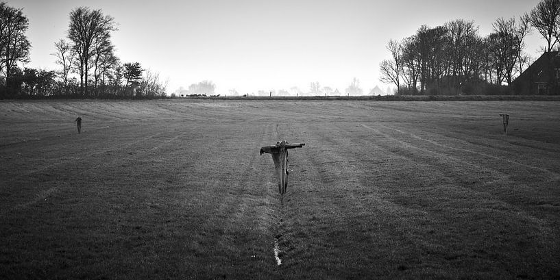 Scarecrows in a meadow by Jenco van Zalk