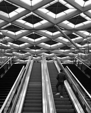Den Haag | Centraal Station | De roltrap van Sylvana Portier