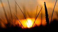 Zonsondergang op Ameland van Rick de Visser thumbnail
