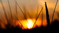 Sonnenuntergang auf Ameland