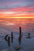Weidsheid over het Groningse wad bij Noordkaap