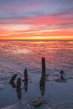 Weidshied über das Groninger Wattenmeer Nordkap von Rick Goede