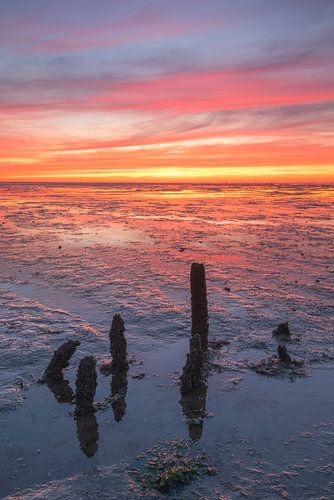 Weidsheid over het Groningse wad bij Noordkaap