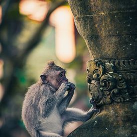 Having a snack and chilling by Jonas Röjestål