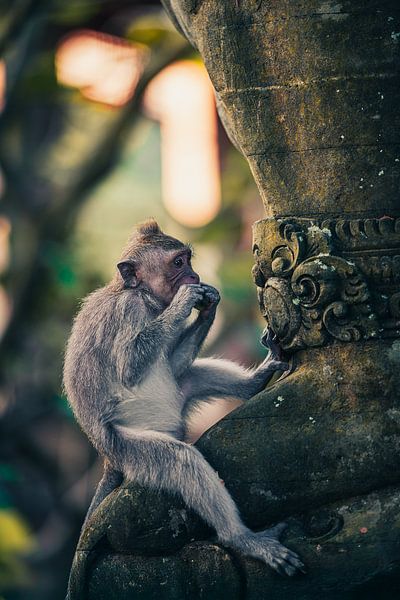 Having a snack and chilling by Jonas Röjestål