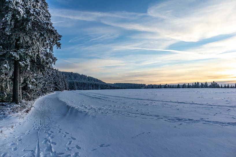 First winter hike on the Rennsteig by Oliver Hlavaty
