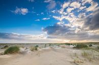 De duinen op Ameland van Niels Barto thumbnail