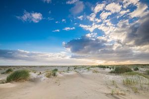 De duinen op Ameland sur Niels Barto