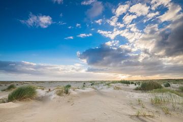 De duinen op Ameland