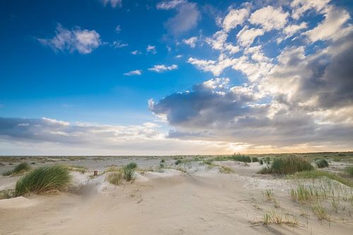 De duinen op Ameland